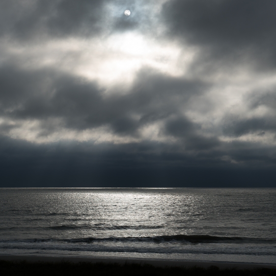 DSC00695_1024